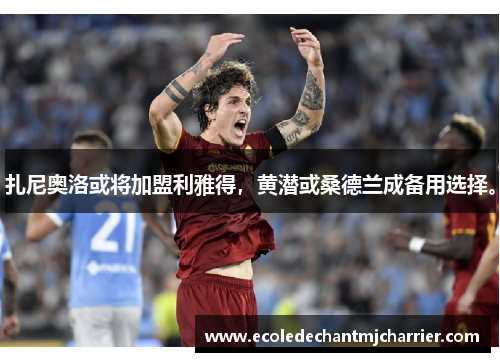 扎尼奥洛或将加盟利雅得，黄潜或桑德兰成备用选择。
